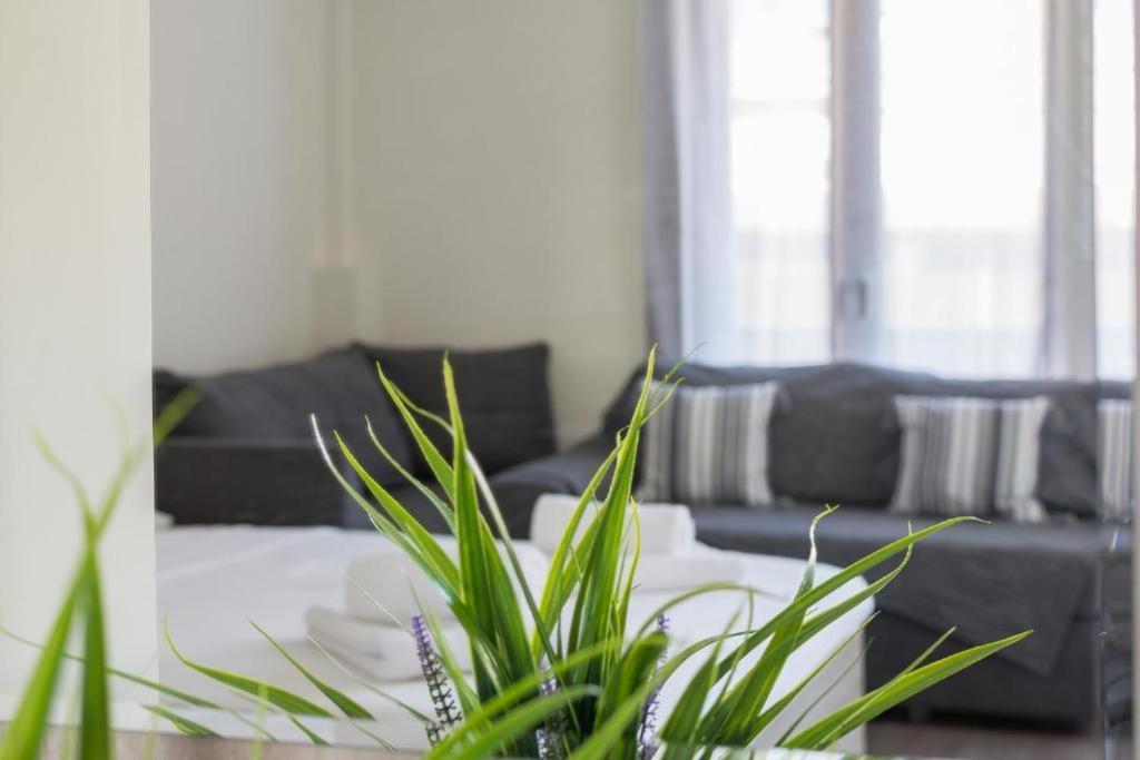 Lovely Studio Apartment For 2 Ppl In アテネ エクステリア 写真